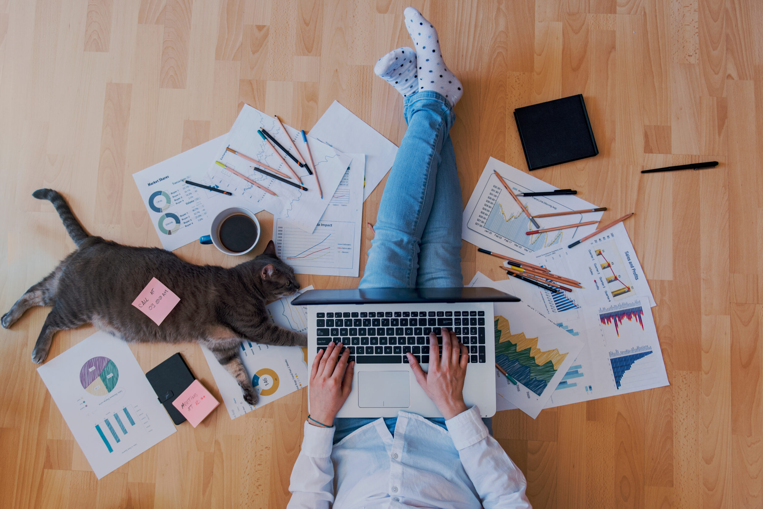 Changing times call for flexible solutions - Autorsoft
